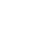 Wordpress Development Icon